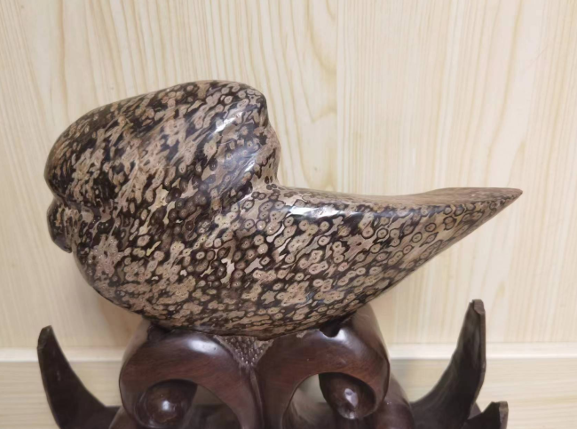 树化玉（植物舍利子宝石）科学与文化全面科普图文