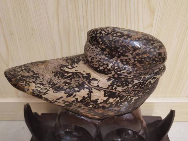 【中华名石典藏】：具有代表性中国名石的科学范式与文化阐释