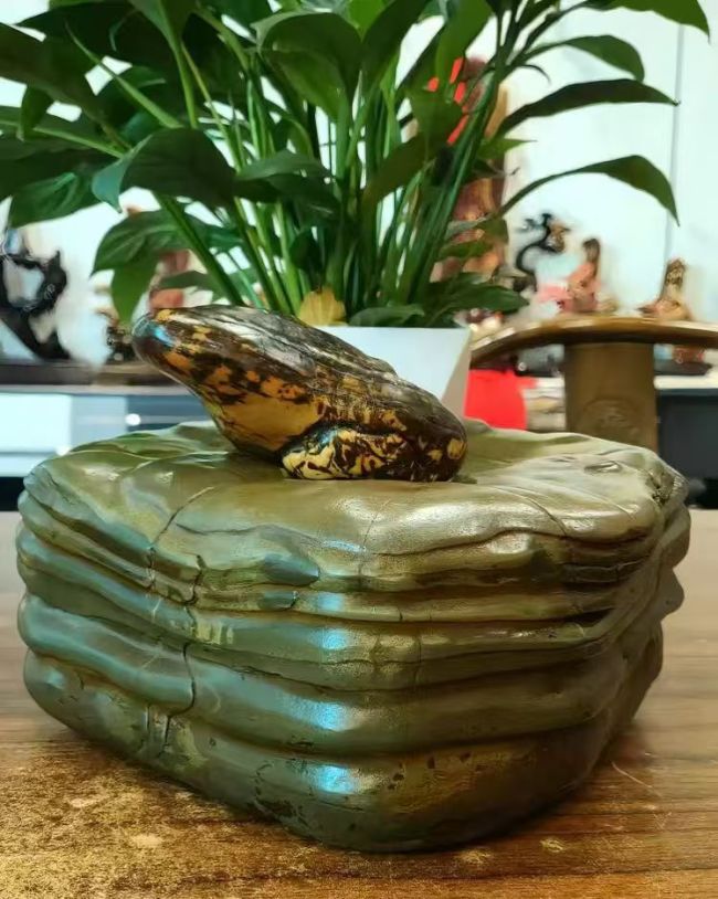 【中华名石典藏】：具有代表性中国名石的科学范式与文化阐释