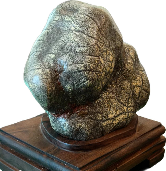 【中华名石典藏】：具有代表性中国名石的科学范式与文化阐释