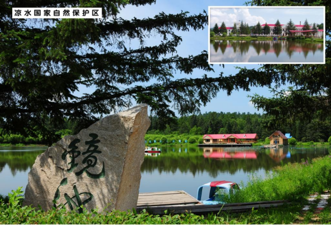 氧生秘境·岭秀箐山——  大箐山县欢迎您