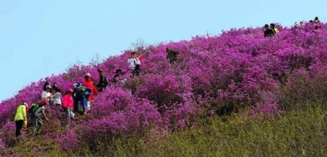 山水铁力·康养福地——黑龙江铁力欢迎您   