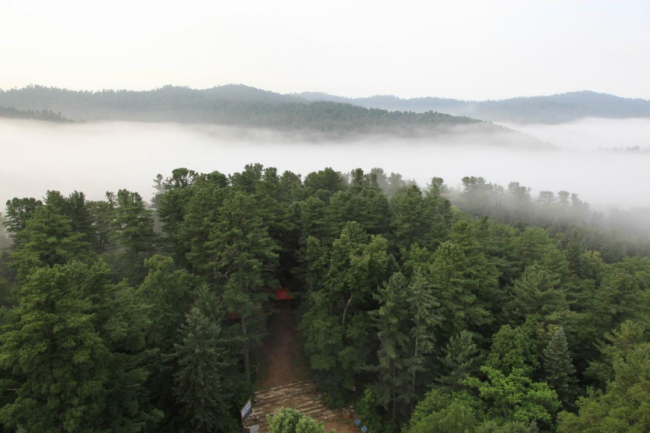 氧生秘境·岭秀箐山——  大箐山县欢迎您