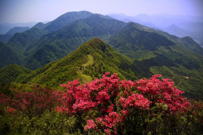 春遇旌德，寻梦皖南|皖南春色里的古镇、山水与茶香