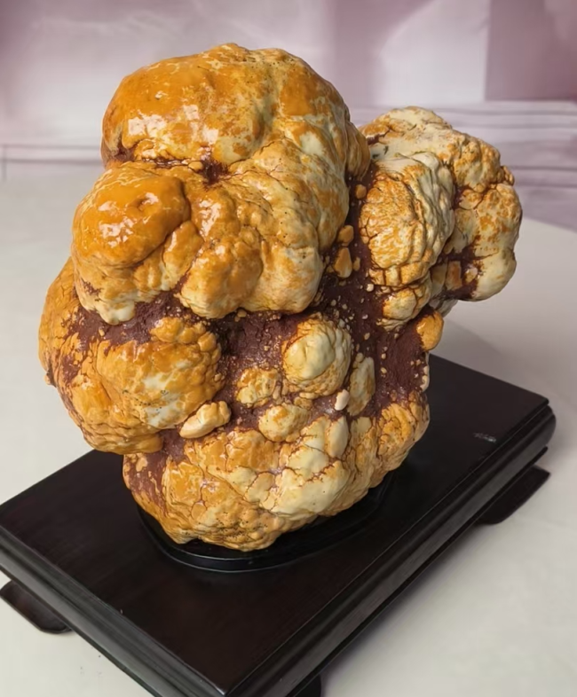 【名石典藏】《金獒守瑞》西藏丁青象牙玉籽料・藏獒象形奇石