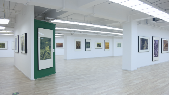 “时痕・格物 —— 罗贵荣版画中的时间显影” 艺术展亮相舒勇美术馆 收获广泛社会关注与各界好评