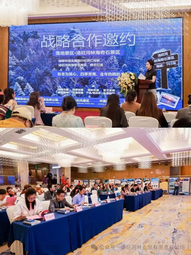 汤旺河林业局公司带队亮相全国文化生态旅游品牌创新峰会面向全国文旅市场精准推介
