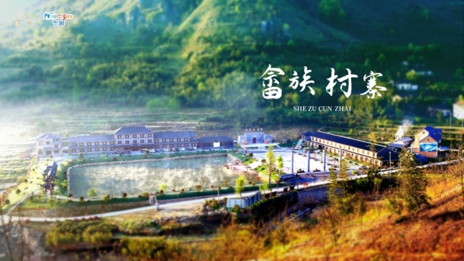 宁国亮相2026全国文化生态旅游品牌创新峰会  尽显“皖美宝藏小城”魅力