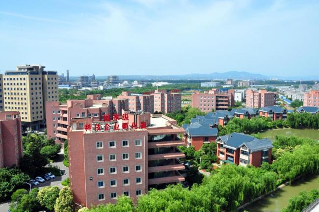 洛阳市领导莅临炎黄科技园调研青年社区建设工作