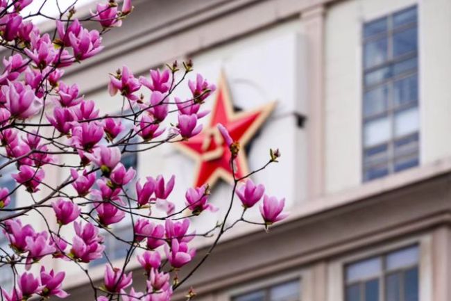 16所军校的春景！