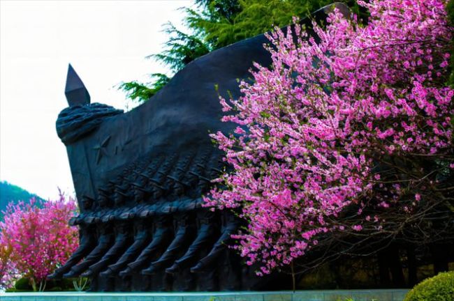 16所军校的春景！