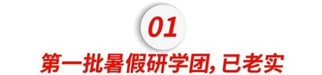 月入5万的中产爹妈：暑假再见，已破产