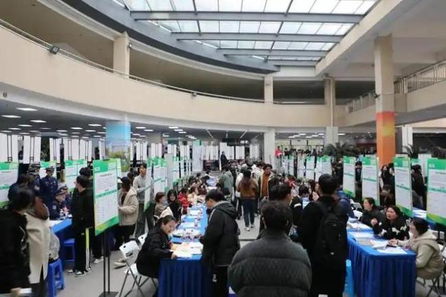 985、211不再是招聘门槛,应该欢欣鼓舞吗?