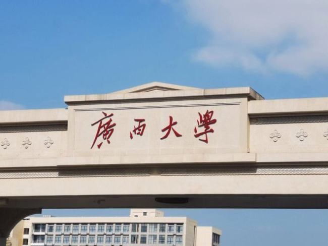 “这位妈妈，你想多了”，母亲质问广西大学：我儿子优秀为何不录