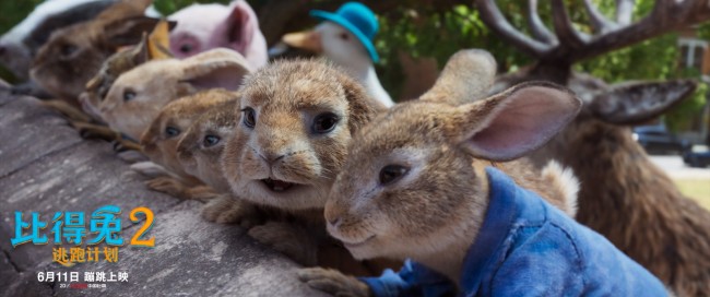 郭麒麟承包整個動物園《比得兔2》配音驚喜多