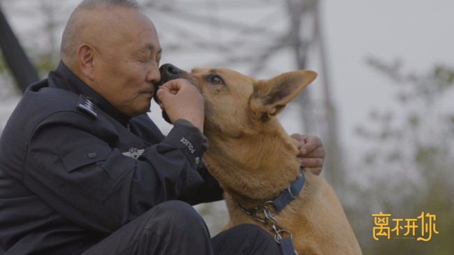 《离不开你》首播引热议 聚焦人宠衰老的解法