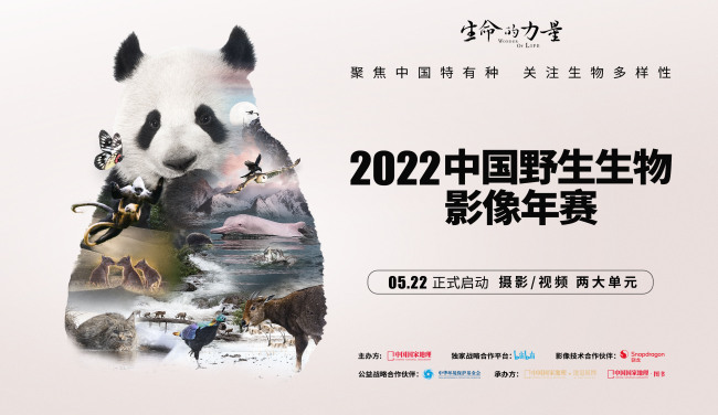 2022中国野生生物影像年赛正式上线 聚焦“中国特有种”