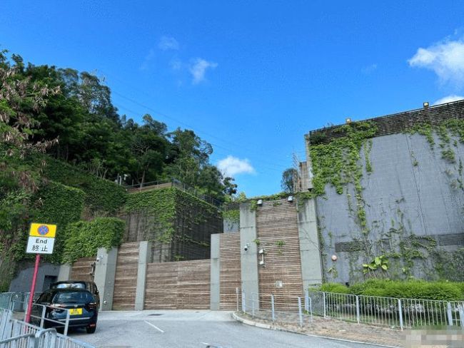 林青霞香港豪宅开始修复豪宅深锁保安十分警惕2