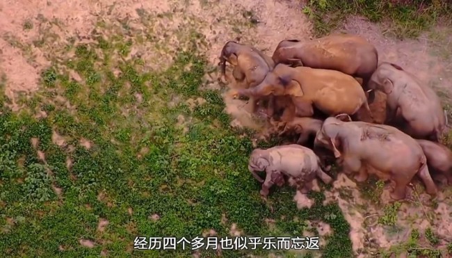 《无穷之路2：无价之保》回溯国家生态重建 TVB9.5分纪录片再创高水准！