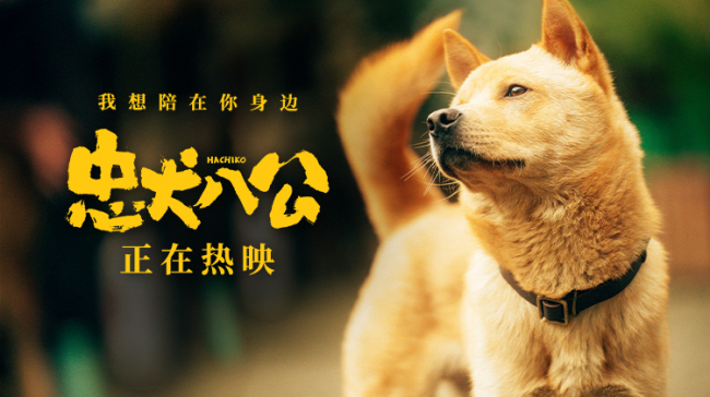 《忠犬八公》全新特輯曝光 狗狗主演竟是流浪狗