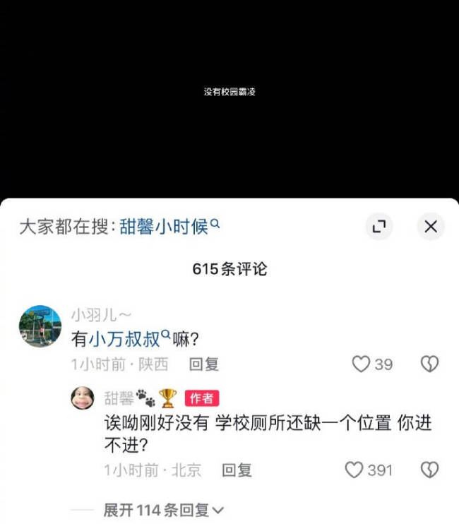 甜馨高情商回怼网友恶评 20字反击网络键盘侠！