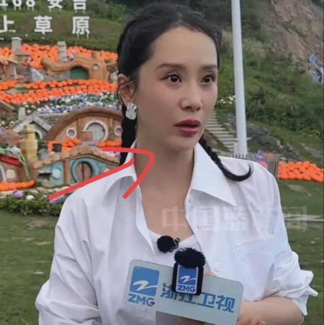 海清最近状态遭网友吐槽 质疑开了美颜还是整了容？