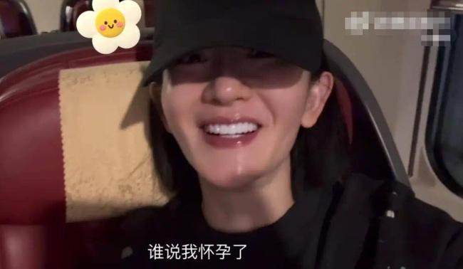 谢娜毫不生三胎 称要把所有爱都倾注给三个犬子