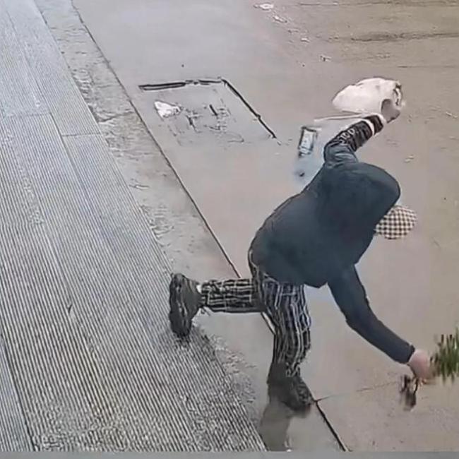扎心了！女子看别人绿植好上手揪 下一秒把脚崴了