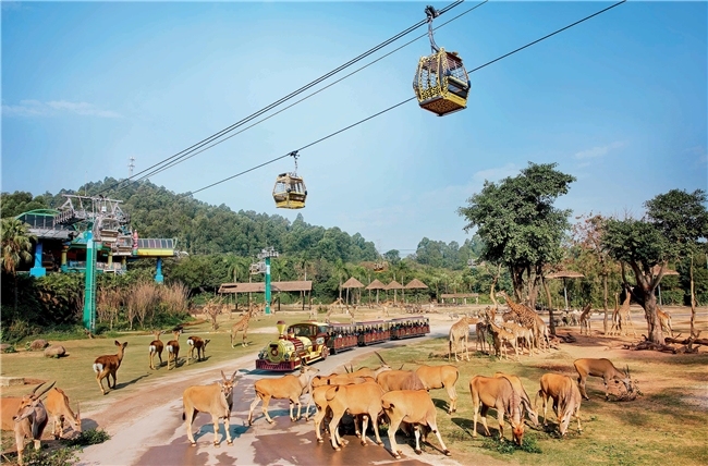 名校校长带你解锁寓教于乐新体验 《名师有名堂-身心健康在长隆》暑期相约