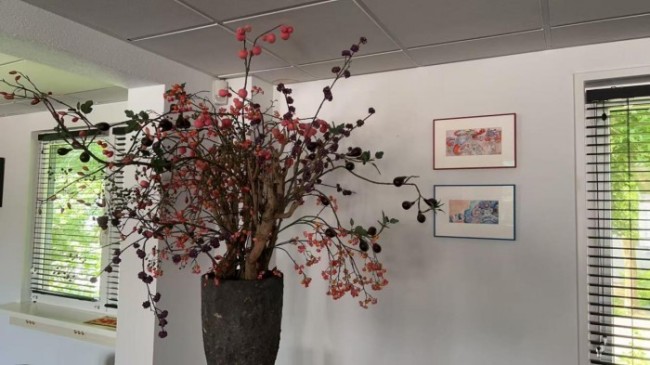 当传统工艺遇见当代艺术：老荷兰&乔男男蛇年限定水彩颜料礼盒重磅上市