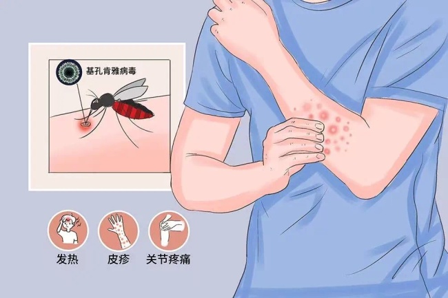 极端高温热死蚊子？看完这篇，我心情很复杂……