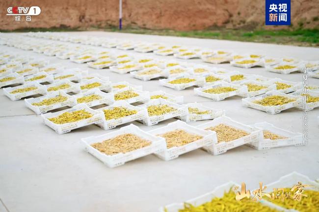 《山水间的家》新一季治愈回归，与您共赴山海新程