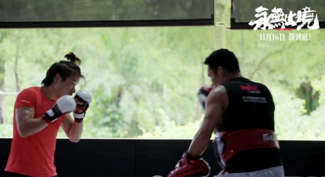 真实！热血！颠覆！张伟丽电影《永无止境》定档11月16日
