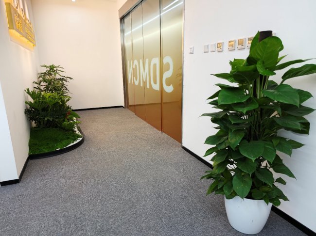 星辰闪耀，再创佳绩！SDMCN星辰九宫格全面复播，诞生七位百万主播！