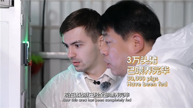 流沙河花猪过得有多“潮”？外国友人《在长沙，都实现》第二季亲测解锁