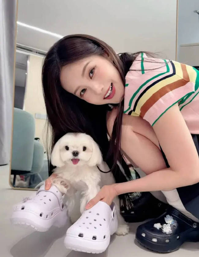 李一桐身穿彩色T恤配黑色短裙 怀抱小狗甜美可爱