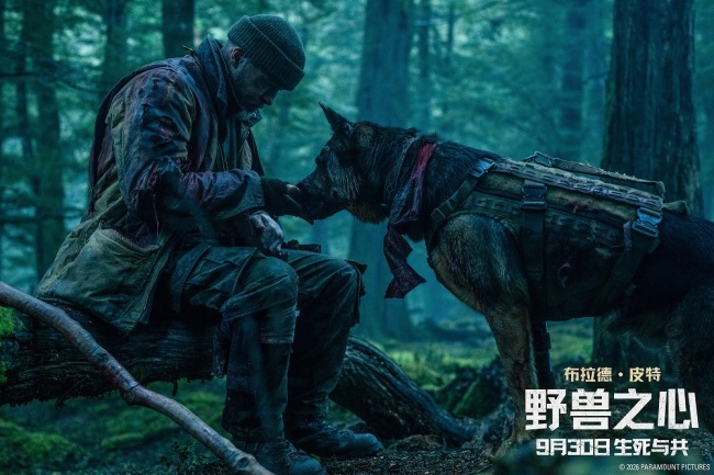 皮特与狗受困荒野生死相依 电影《野兽之心》诠释无条件的爱与陪伴