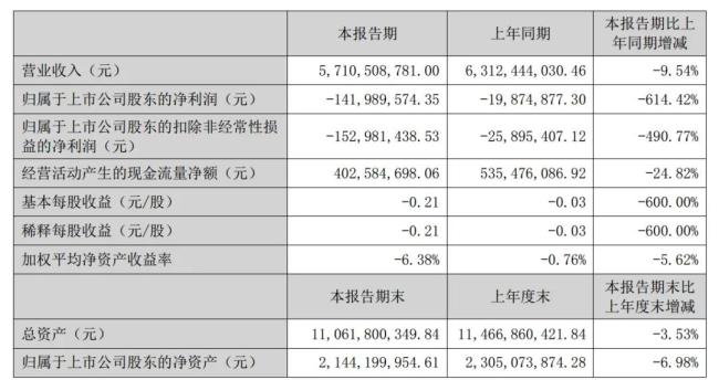 中百集团2024年半年报数据