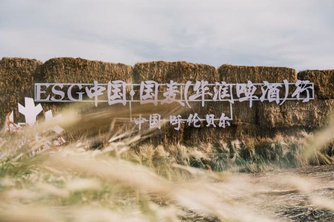 “国麦振兴”正从产业升级向文旅融合拓展