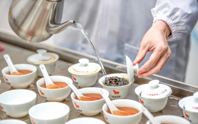 八马茶业敲开资本大门，万亿茶产业迎价值重构