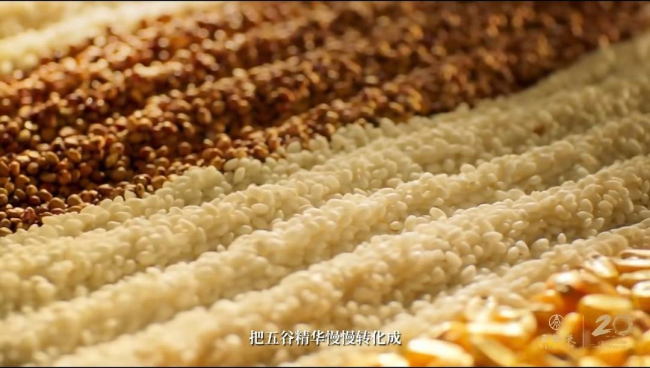 中国烹调行家“寻香”元明古窖池群，探寻五粮液“大国浓香”密码