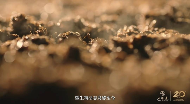 中国烹调行家“寻香”元明古窖池群，探寻五粮液“大国浓香”密码