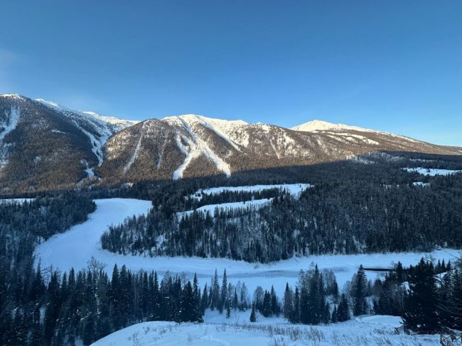 “雪假”催热亲子冰雪游!北京有滑雪场未开板,订单量同比增幅近500%