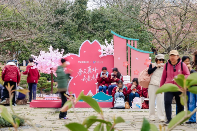 多地春花绽放！滴滴推出打车6折起活动邀用户共赏春景