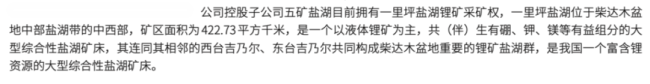（2025年年报）