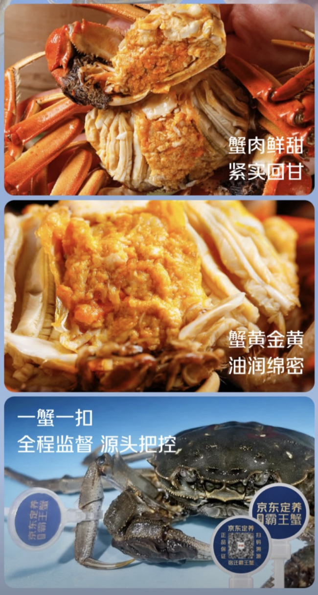 京东定养霸王蟹正式上线开卖:全流程品控护航,10万只好蟹不“盲盒”