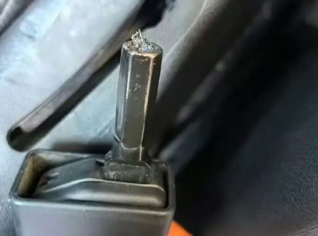不是吧，这都能断？某品牌安全带疑似出现多起断裂 