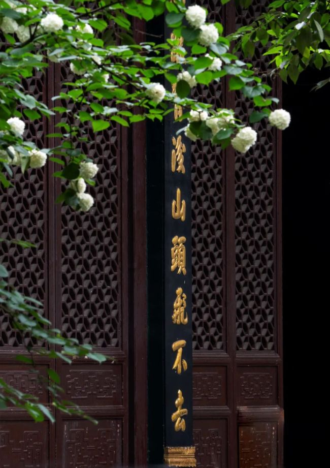 什么是皈依？