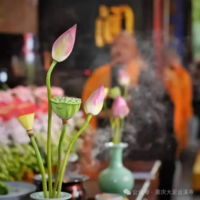 佛教为何提倡吃素食？
