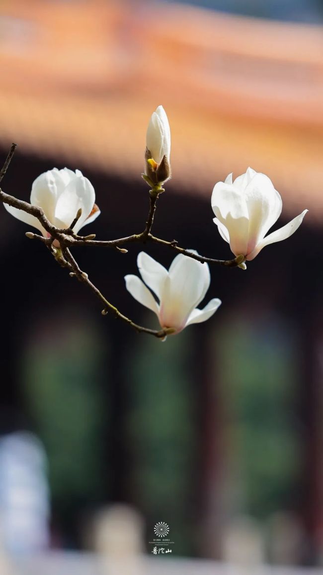 体相用有什么意义?体相用的真义